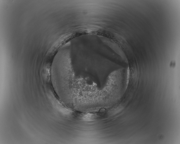 X0000115340527200911161835