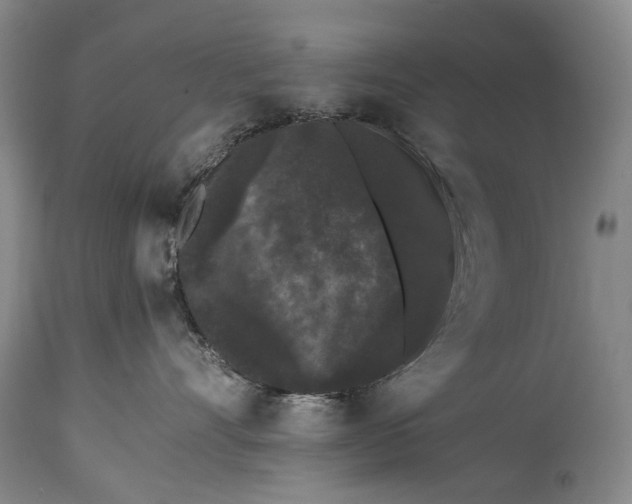 X0000115340528200911161835