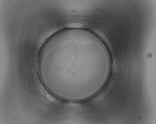 X0000115340529200911161834