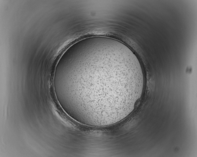 X0000115340530200911161834