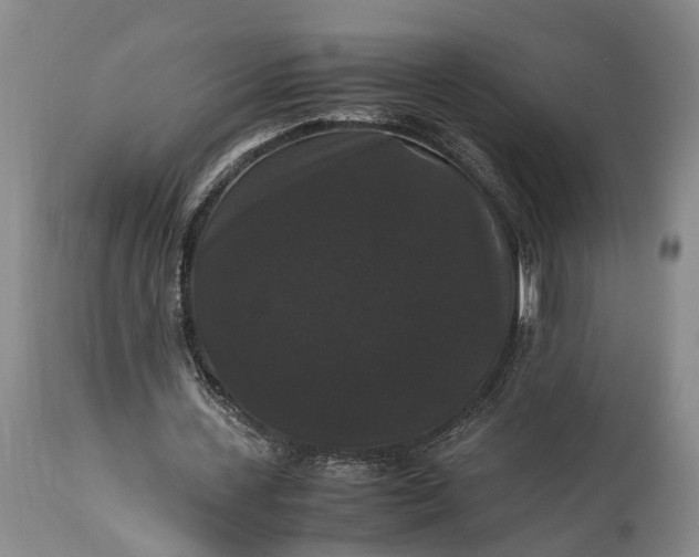 X0000115340531200911161834