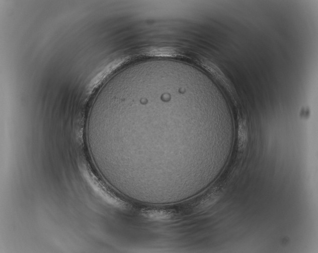 X0000115340533200911161834