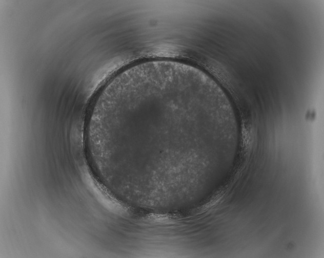 X0000115340534200911161834