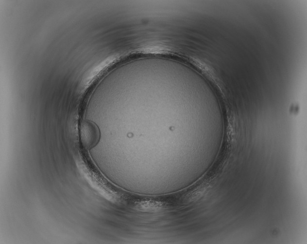 X0000115340535200911161834