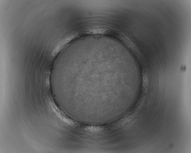X0000115340537200911161834