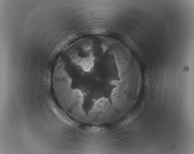 X0000115340542200911161834