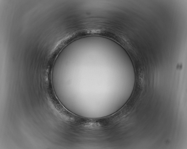 X0000115340543200911161834