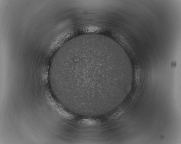 X0000115340545200911161834