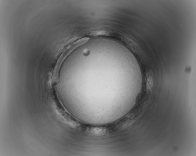 X0000115340546200911161834