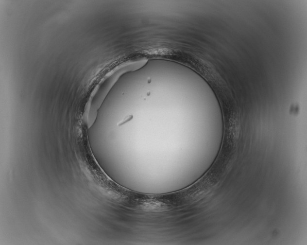X0000115340547200911161834