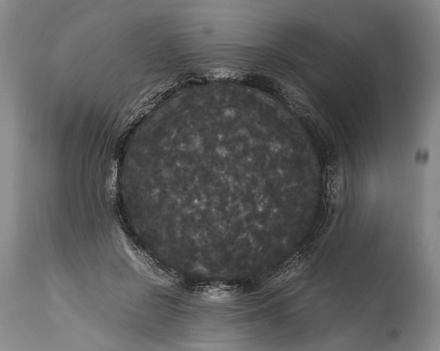 X0000115340550200911161834