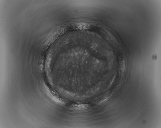 X0000115340553200911161834