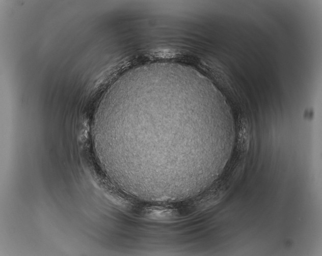 X0000115340555200911161834
