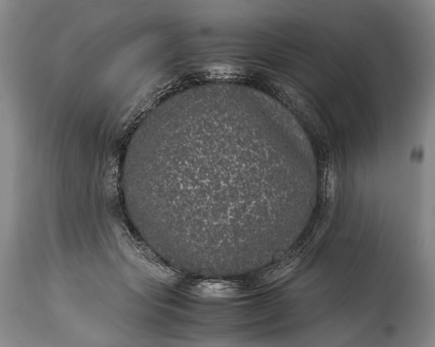 X0000115340557200911161834