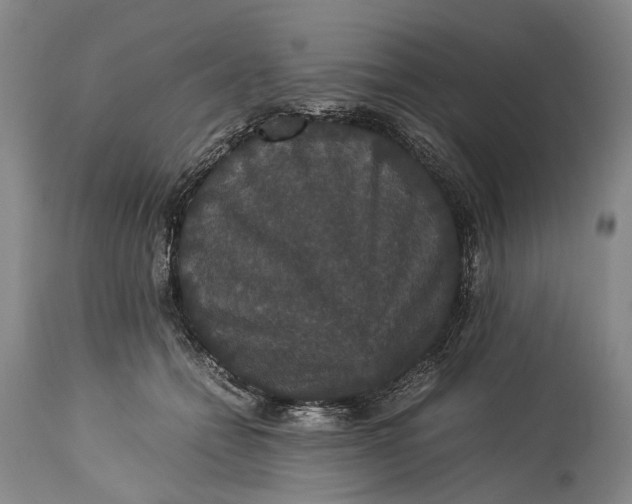 X0000115340558200911161834