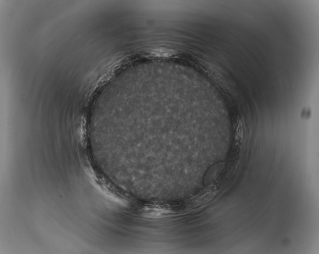 X0000115340559200911161835