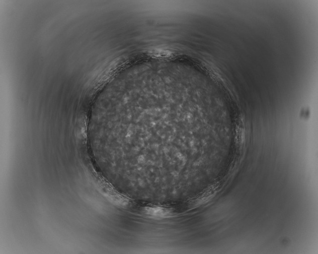 X0000115340561200911161835