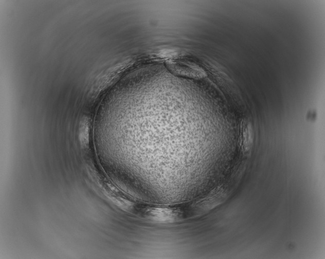 X0000115340562200911161835