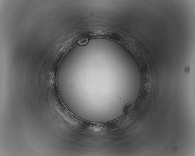 X0000115340563200911161835