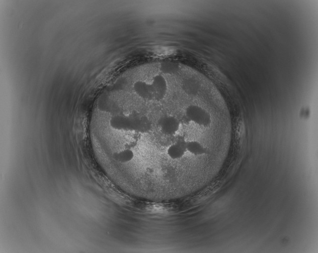 X0000115340565200911161835