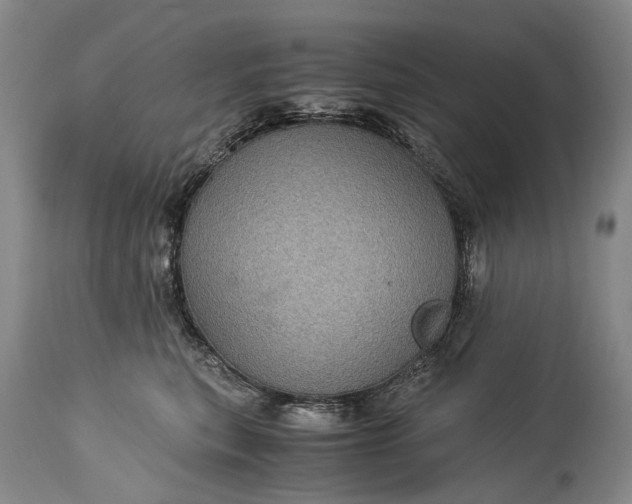 X0000115340567200911161835