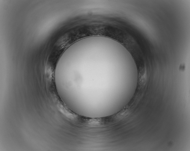 X0000115340574200911161835