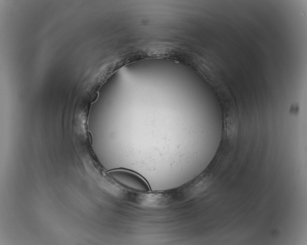 X0000115340575200911161835