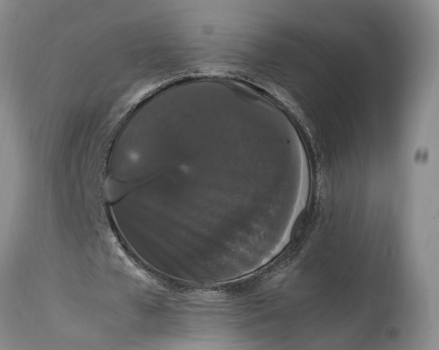 X0000115340577200911161834