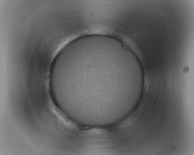 X0000115340578200911161834