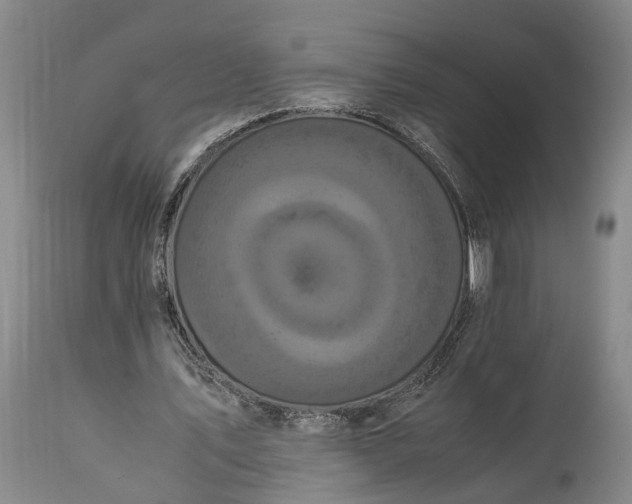 X0000115340579200911161834