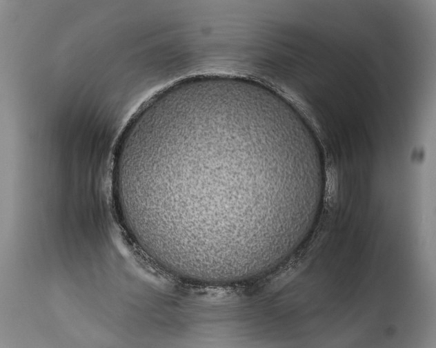 X0000115340580200911161834