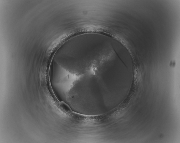 X0000115340581200911161834