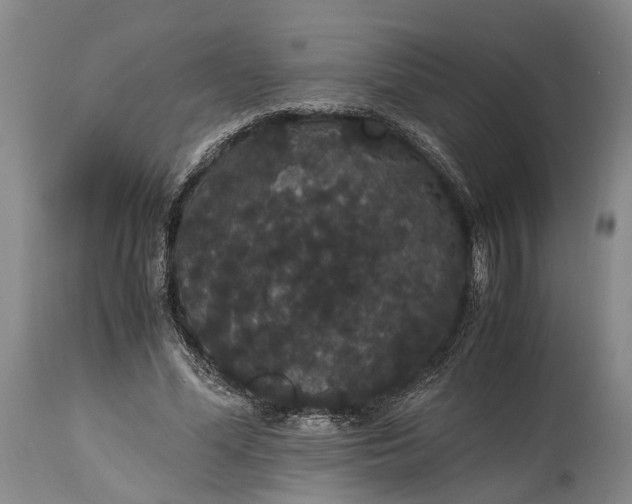 X0000115340588200911161834