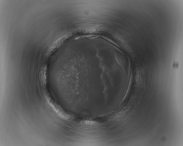 X0000115340590200911161834