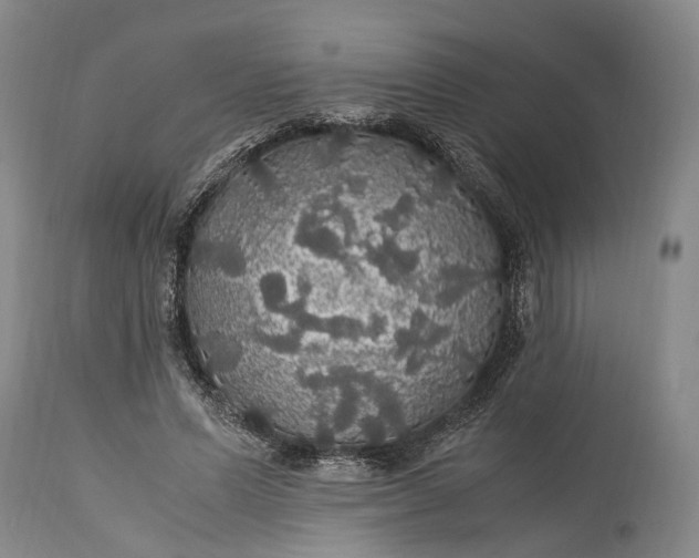 X0000115340591200911161834