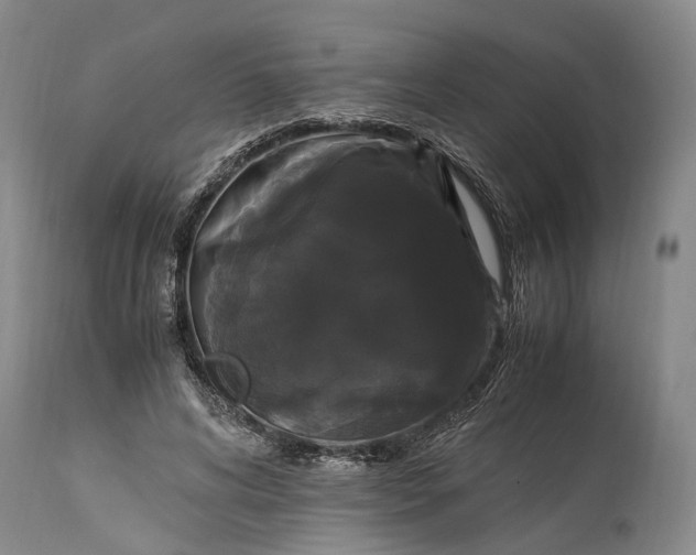 X0000115340592200911161834