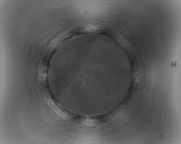 X0000115340593200911161834
