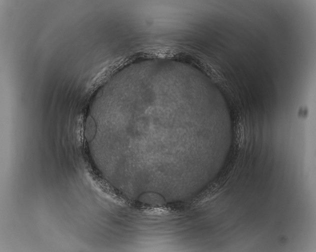 X0000115340594200911161834