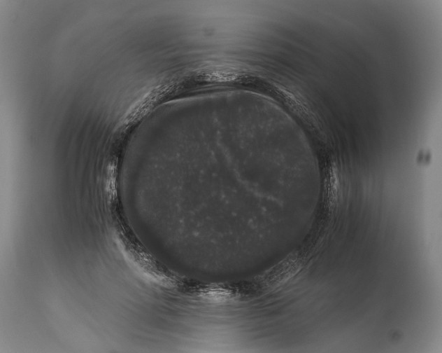 X0000115340598200911161834