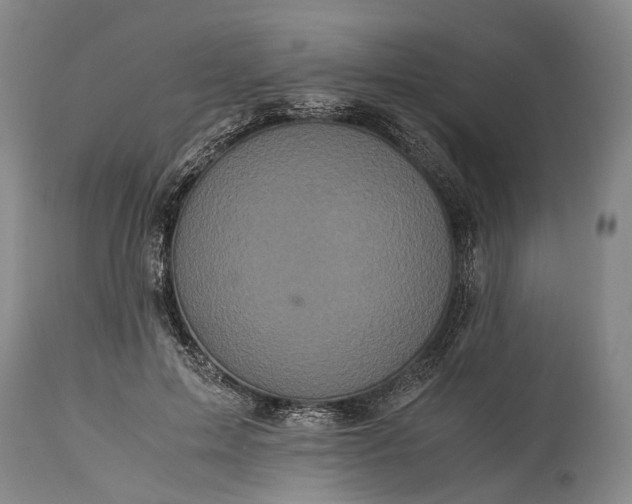 X0000115340599200911161834