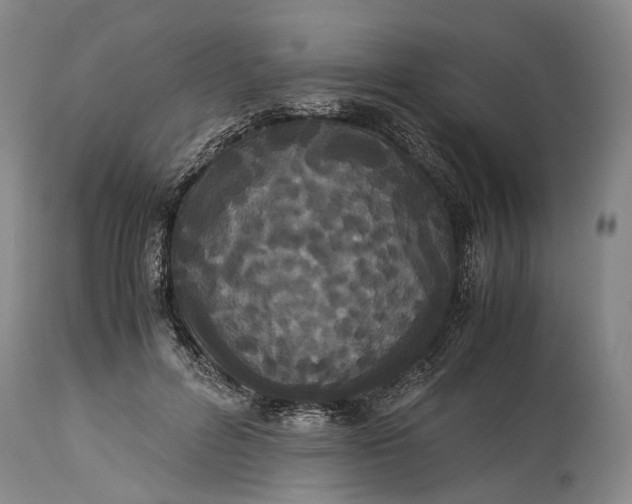 X0000115340600200911161834
