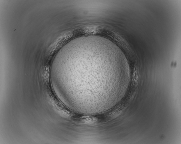 X0000115340601200911161834