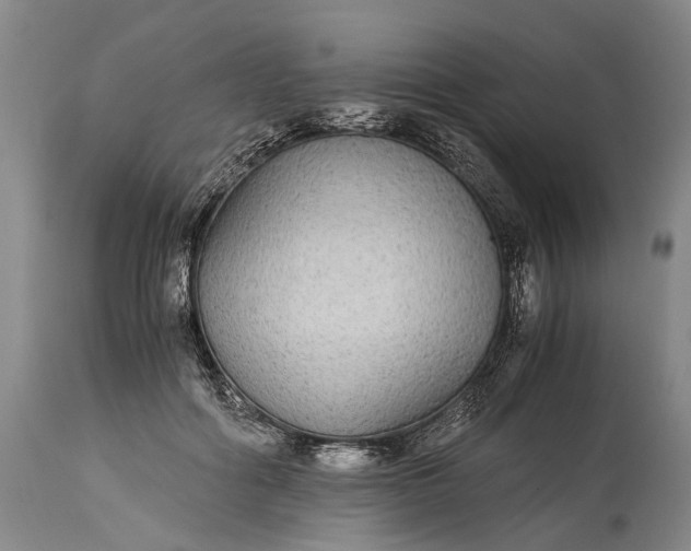X0000115340602200911161834