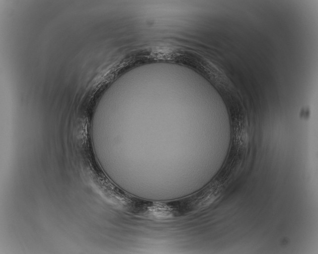 X0000115340603200911161834