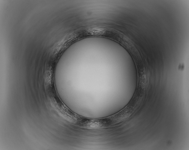 X0000115340604200911161834
