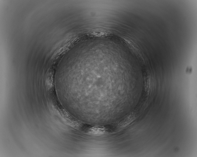 X0000115340606200911161834