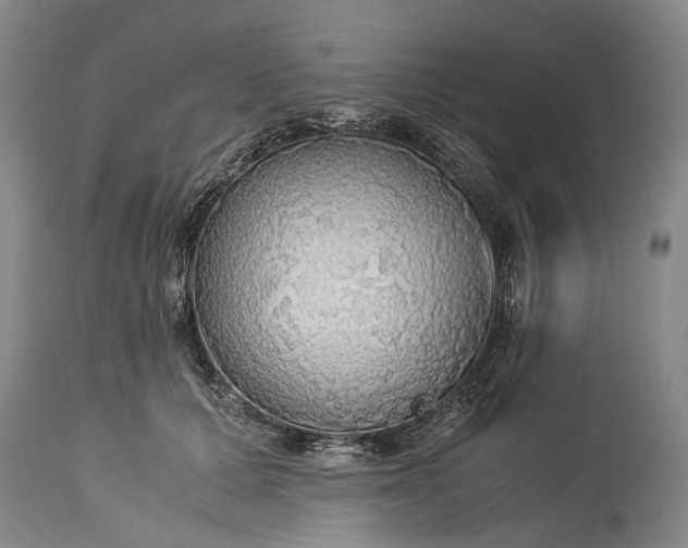 X0000115340607200911161833