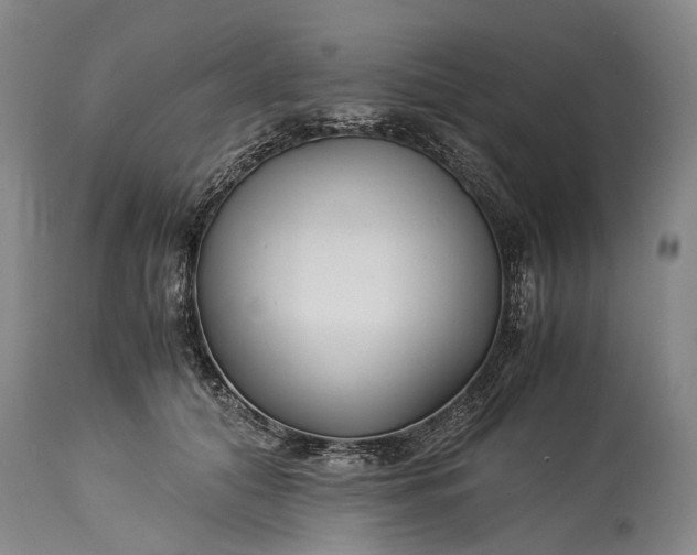X0000115340608200911161833