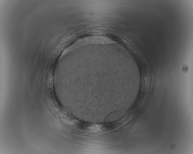 X0000115340609200911161833
