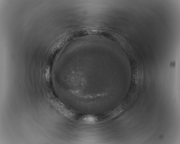 X0000115340610200911161833